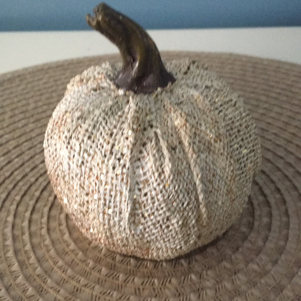 5/$25❄️ Painted burlap pumpkin w/ minimal sparkle.